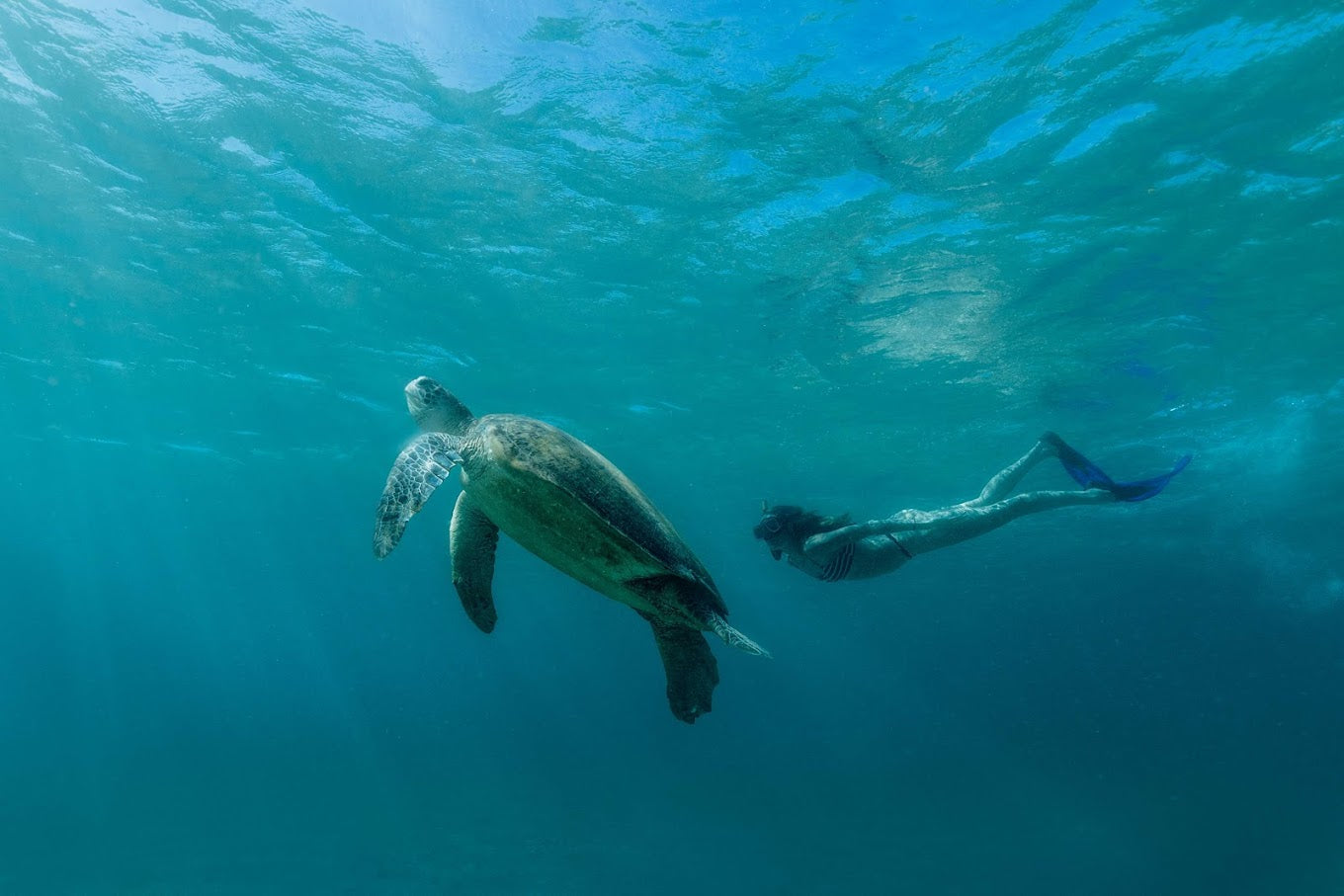 Amanpulo Starting From